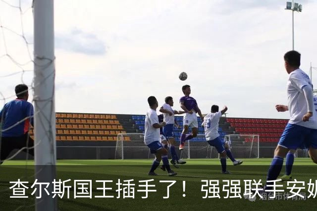 查尔斯国王插手了！强强联手安妮长公主和苏菲，威廉王储进退两难